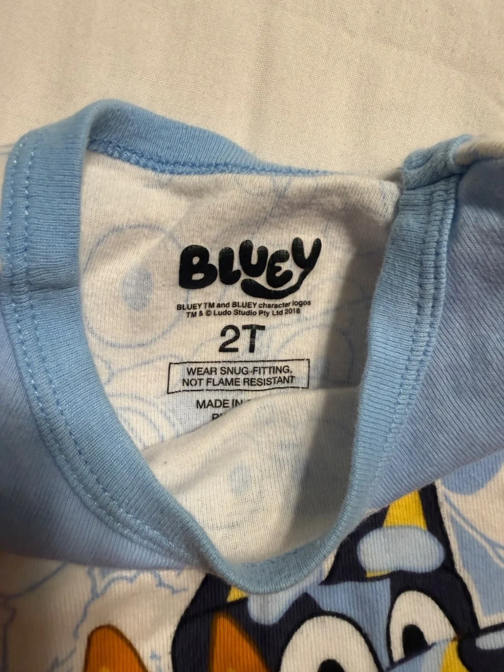 Bluey Pajamas